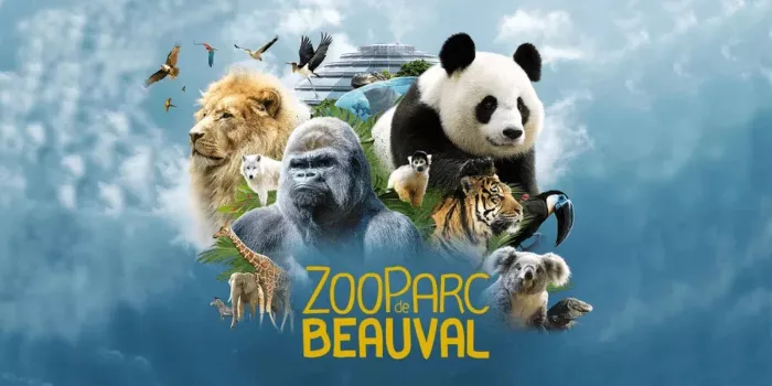 Évenement: Cazenove au Zoo de Beauval le 17 juillet 2024